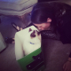 Illustration for article titled Look At These Dogs And Cats Confused By Xbox One